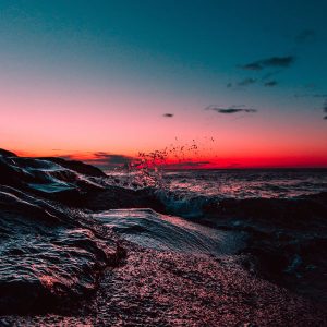 WordPress网站有什么样的优势，为什么使用wordpres...